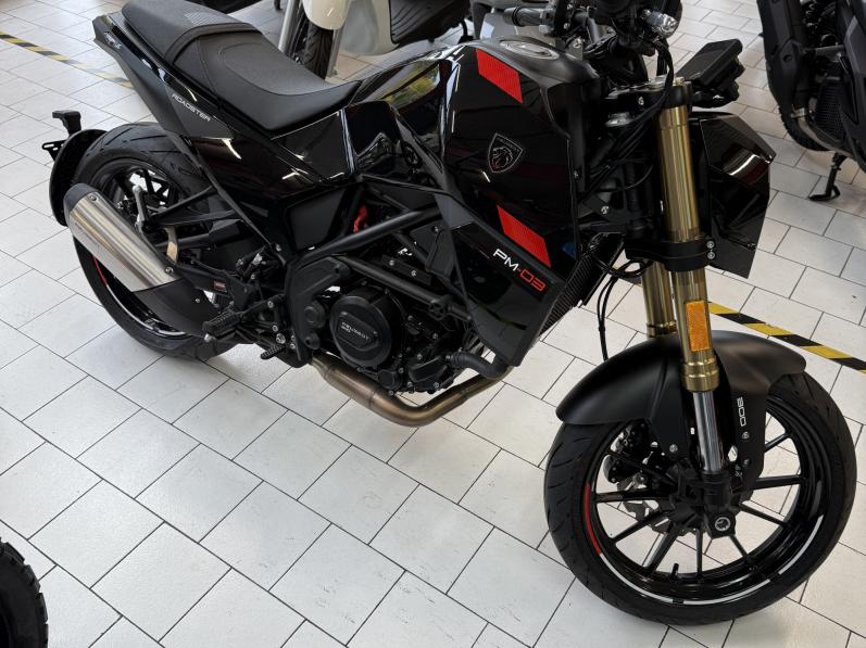PEUGEOT pm-03 300 cc
